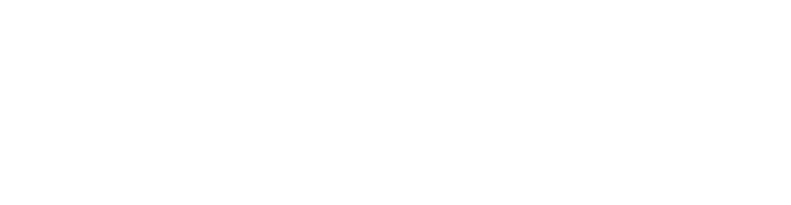 Empiraa GPS logo