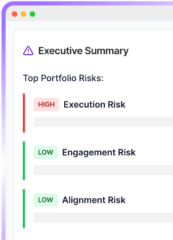 Executive summary showing portfolio risks